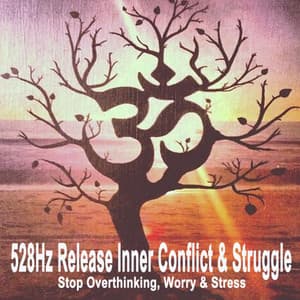 528Hz Release Inner Conflict & Struggle - 528Hz Release Inner Conflict & Struggle
