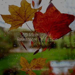 50 Memorable Rainstorm Collection - Lucid Dreaming Music