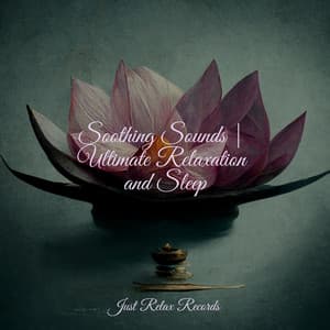Soothing Sounds | Ultimate Relaxation and Sleep - Música a Relajarse