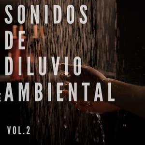 Sonidos de diluvio ambiental Vol.2 - Sonidos De Lluvia y Viento
