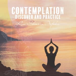 Contemplation: Discover and Practice - Ren Shinrin-Yoku