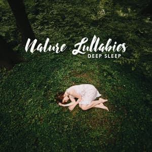 Nature Lullabies: Deep Sleep, Fast Fall Asleep, Natural Sleep Aid - Natural Sleep Aid Ensemble