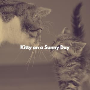 Kitty on a Sunny Day - Easy Listening Cafe Music Playlisted