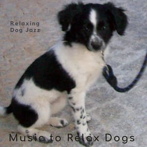 Relaxing Dog Jazz - Music-to-Relax-Dogs