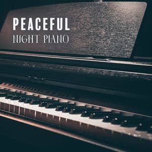 Peaceful Night Piano: Midnight Melancholy with Instrumental Piano Ballad - Piano Dreamers