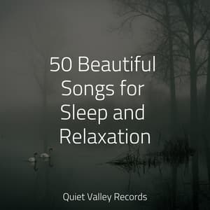 50 Beautiful Songs for Sleep and Relaxation - Sleep Tight