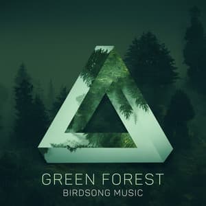 Green Forest - Birdsong Music, Forest Animals, Esthetic Music - Bird Song Group