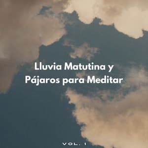 Lluvia Matutina Y Pájaros Para Meditar Vol. 1 - Efectos especiales de sonidos de lluvia