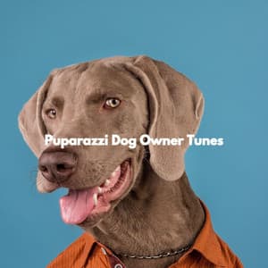 Puparazzi Dog Owner Tunes - Sleeptime for Dogs