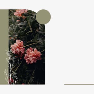 Relaxing Days - Cafe Musique Francaise