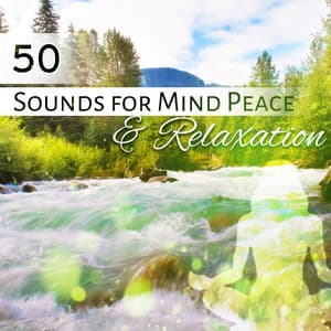 50 Sounds for Mind Peace & Relaxation: Deep Sleep, Meditation, Nature Sounds for Rest - Peaceful Mind Music Consort