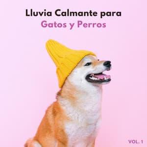 Lluvia Calmante Para Gatos Y Perros Vol. 1 - Fabricantes de lluvia suave