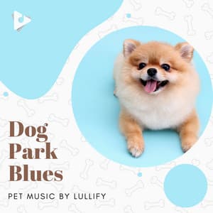 Dog Park Blues - Pet Music by Lullify