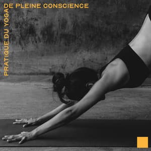 Pratique du yoga de pleine conscience avec de la musique new age. Prenez une profonde inspiration et méditation, Namaste relaxation - Quotidien Yoga Musique Paradis