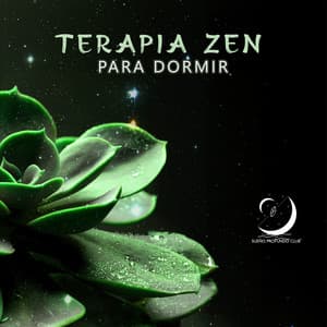 Terapia Zen para Dormir: Música Relajante, Música para Meditar los Chakras, Reiki, Sonidos de la Naturaleza, Yoga Nidra, Yoga Padhi - Sueño Profundo Club