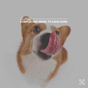 Complacent Music to Calm Dogs - Music for Sleeping Puppies