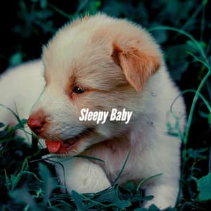 Sleepy Baby - Relax My Dog Music