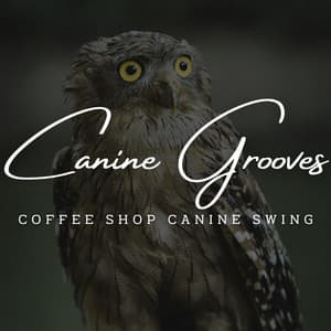Canine Grooves: Jazz Jams at the Coffee Lounge - Lachlan Wright Trio