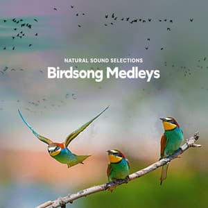 Birdsong Medleys - Natural Sound Selections