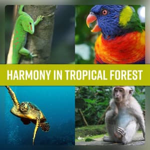 Harmony in Tropical Forest - Exotic Getaway, Maui Relaxation, Bliss of Endless Summer - Exotic Nature Kingdom
