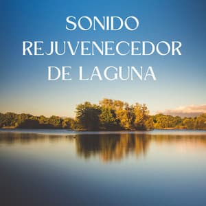 Sonido Rejuvenecedor De Laguna - Ciencia del Agua