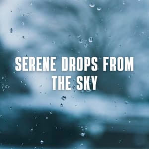 Serene Drops from the Sky - 4D Nature Recordings