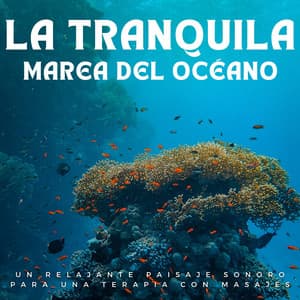La Tranquila Marea Del Océano: Un Relajante Paisaje Sonoro Para Una Terapia Con Masajes - Misterios del océano
