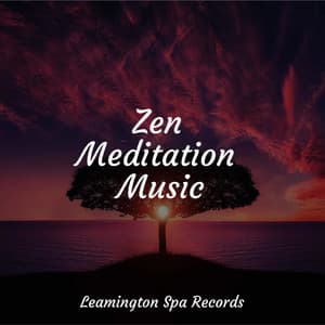 Zen Meditation Music - Reiki Tribe