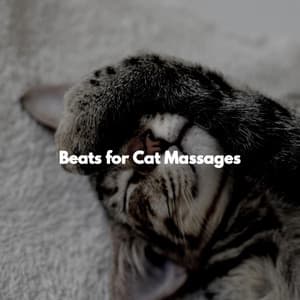 Beats for Cat Massages - Restaurant Music Playlist Ambiance