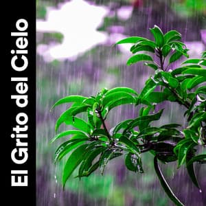El Grito del Cielo - Cascada de Lluvia