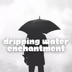 Dripping Water Enchantment - Nature Therapy