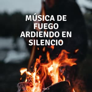 Música De Fuego Ardiendo En Silencio Vol. 3 - Sonidos de chimenea