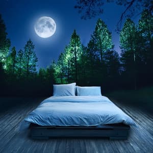 Hip Hop Music For Sleep And Restful Nights - Gentle Rest Lofi