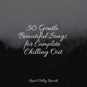50 Gentle Beautiful Songs for Complete Chilling Out - The Rainforest Collective