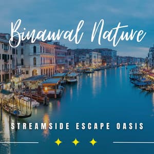 Streamside Serenity: Binaural Spa Escapes - The Water Sleepers
