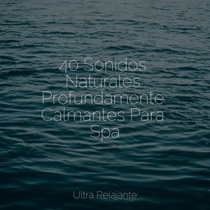 40 Sonidos Naturales Profundamente Calmantes Para Spa - Relajante