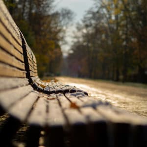 1 Sun: Brightening The Mind - Lofi Chill