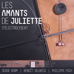 Les amants de Juliette s'électrolysent - Serge Adam