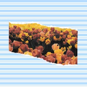 Music for Brave Keynotes - Jazz For Sleeping