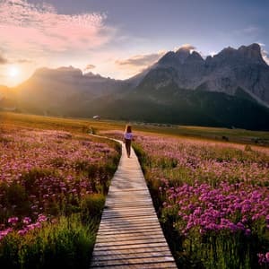 Armonía De La Tarde: Música Suave Para Un Sueño Reparador - Dhyana Uno