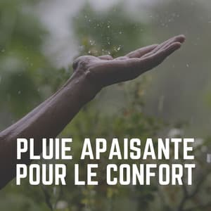 Pluie Apaisante Pour Le Confort - Pluie et tonnerre