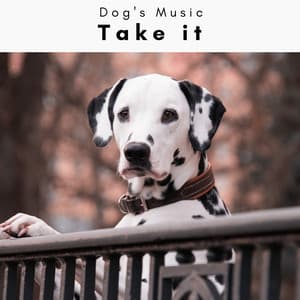 4 Dogs: Take it - Dog's Music
