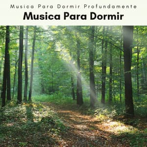 1 Musica Para Dormir - Musica Para Dormir Profundamente