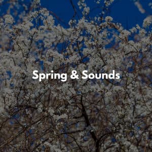 Active Explorer Music - Chilled Morning Music