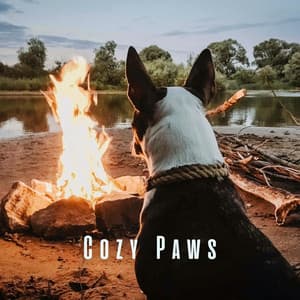 Cozy Paws: Chill Sounds for Contented Dogs by the Fire - Noom Night Fire Sounds