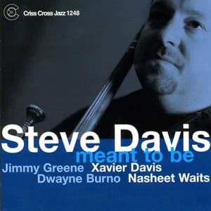Meant To Be - Steve Davis