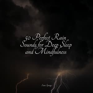 50 Perfect Rain Sounds for Deep Sleep and Mindfulness - Lluvia