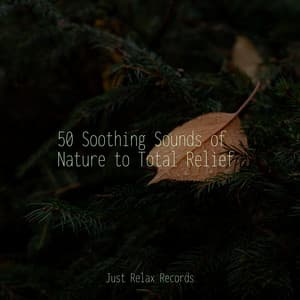 50 Soothing Sounds of Nature to Total Relief - Sonido Del Bosque y Naturaleza