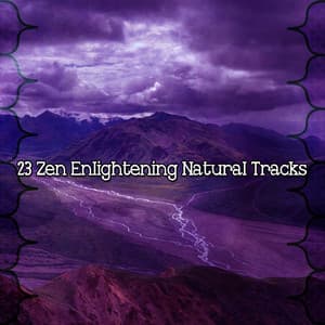 23 Zen Enlightening Natural Tracks - Nature Sounds - Sons de la nature