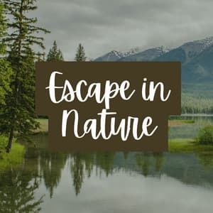 Escape in Nature - Cricket Sounds